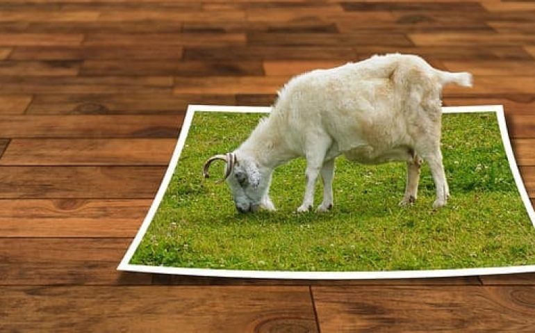 realworkhard-image-editing-101040_640 (1)